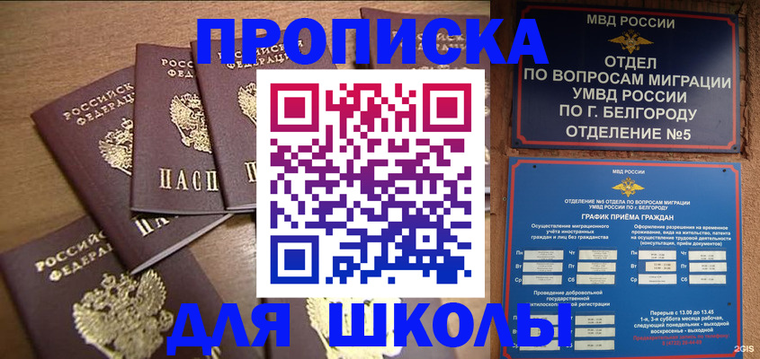 прописка гарантия в Щиграх